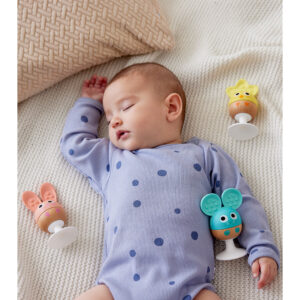 Previous Next CHEERY CRITTER RATTLE TRIO – HAPE