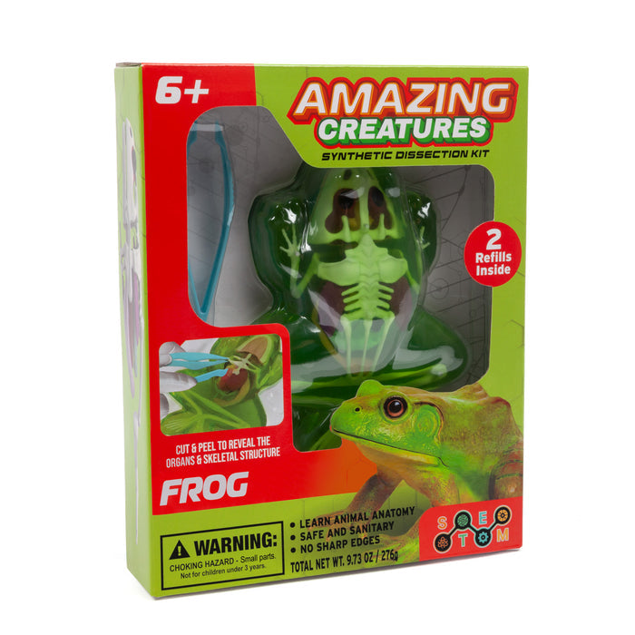 Amazing Creatures Frog Synthetic Dissection Kit - STEM