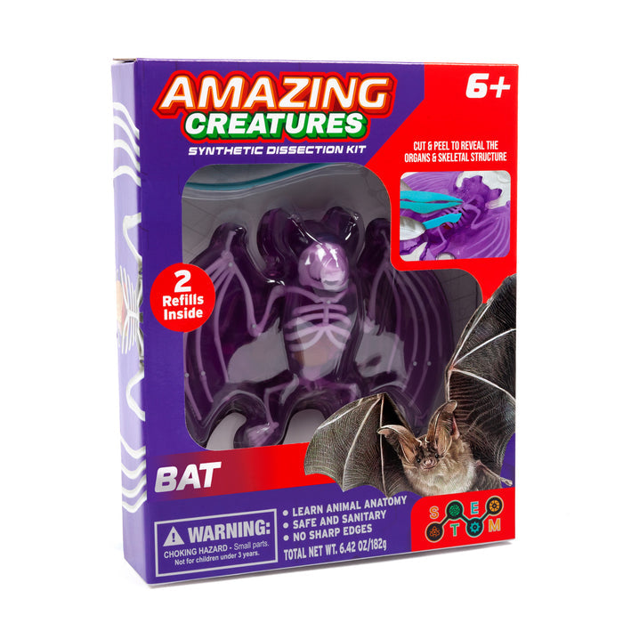 Amazing Creatures Bat Synthetic Dissection Kit - STEM