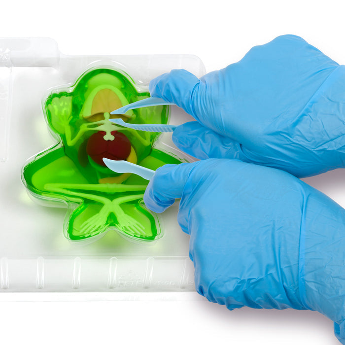 Amazing Creatures Frog & Salamander Synthetic Dissection Kit - STEM
