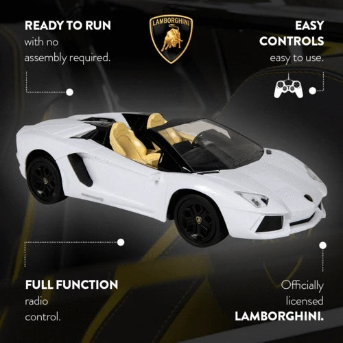 Lamborghini Aventador Roadster RC Car [1:24]