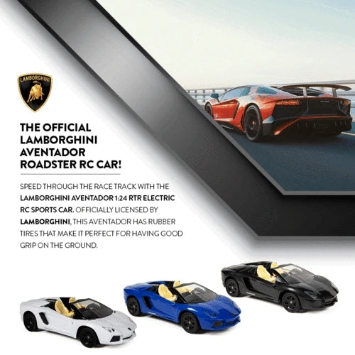 Lamborghini Aventador Roadster RC Car [1:24]